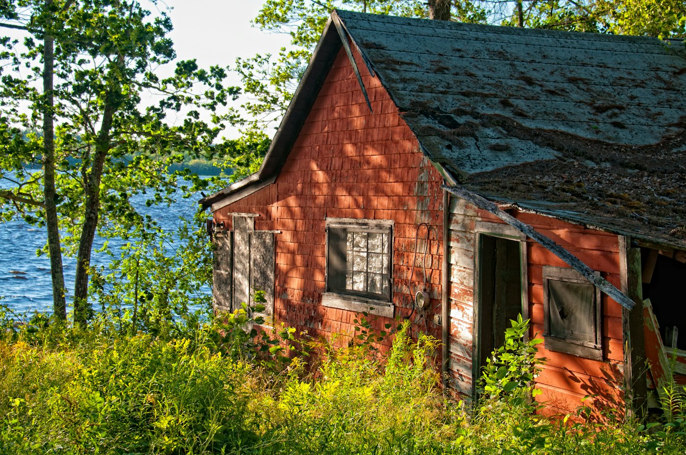 Red-shingled cottage on the water surrounded by trees